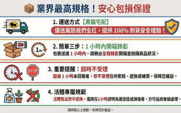 收貨必看!運送&理賠懶人包 - 我家有魚 House fish