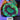 甜甜圈 - 我家有魚 House fish